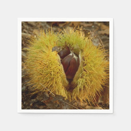 Sweet Kastanienpapier Napkins Serviette (Vorderseite)