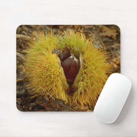 Sweet Kastanuss Mouse Mat Mousepad (Mit Mouse)