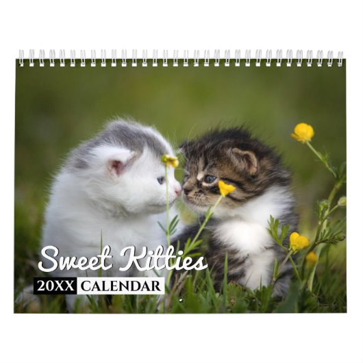 Sweet Kätzchens Foto Wall Calendar Kalender (Titelbild)