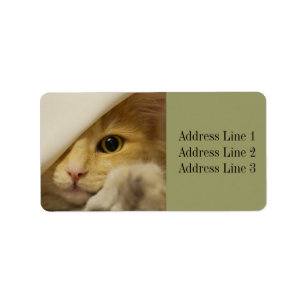 Sweet Kitten / Cat Foto Address Label Adressaufkleber