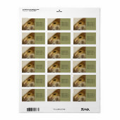 Sweet Kitten / Cat Foto Address Label Adressaufkleber (Vorne)