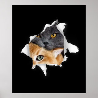 Sweet Kitten Couple | Funny Cat Lover Geschenk Poster