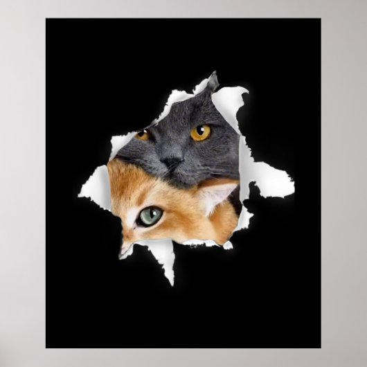 Sweet Kitten Couple | Funny Cat Lover Geschenk Poster (Vorne)