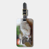 Sweet Kitten Gepäckanhänger (Vorderseite vertikal)