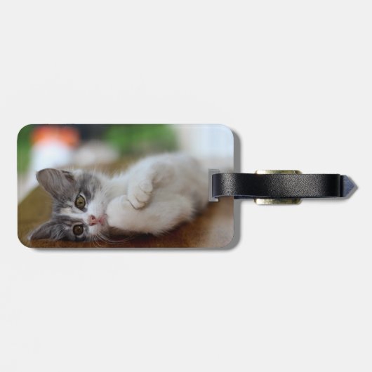 Sweet Kitten Gepäckanhänger (Rückseite horizontal)