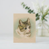 Sweet Kitten Postkarte (Stehend Vorderseite)
