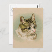 Sweet Kitten Postkarte (Vorne/Hinten)