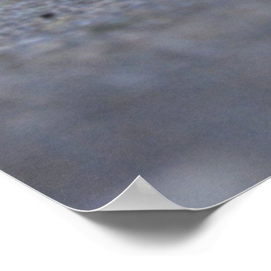 Sweet Kitten Print Poster (Ecke)