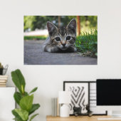 Sweet Kitten Print Poster (Heimbüro)