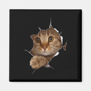 Sweet Kitten Torn Cloth - Funny Cat Lover Cat Owne Magnet