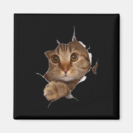 Sweet Kitten Torn Cloth - Funny Cat Lover Cat Owne Magnet (Vorne)