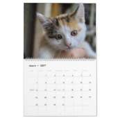 Sweet Kittens 2024 Katzen Kalender (Mär 2027)