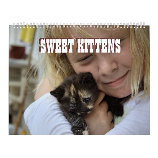 Sweet Kittens 2024 Katzen Kalender (Titelbild)