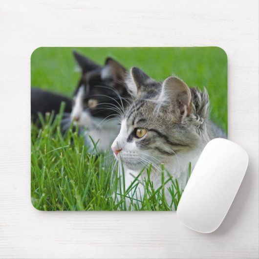 Sweet Kittens Mousepad (Mit Mouse)