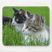 Sweet Kittens Mousepad (Vorne)
