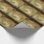Sweet Kitty Cat Wrapping Paper Geschenkpapier (Ecke)