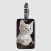 Sweet kitty gepäckanhänger (Vorderseite Vertikal)