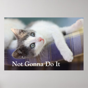 Sweet Kitty in Kariertem Bett Poster