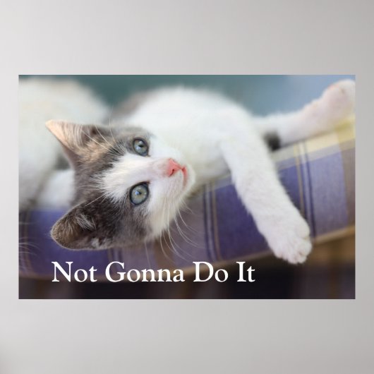 Sweet Kitty in Kariertem Bett Poster (Vorne)