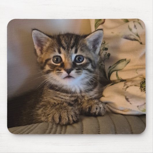 Sweet kitty mousepad (Vorne)