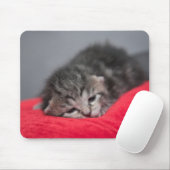 Sweet kitty mousepad (Mit Mouse)
