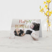Sweet kitty zum Geburtstag Karte (Gelbe Blume)