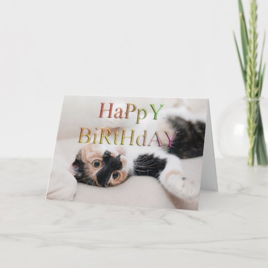 Sweet kitty zum Geburtstag Karte (Vorderseite)