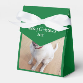 Sweet Lächeln Weißer Rentier Hund Weihnachten Grün Geschenkschachtel