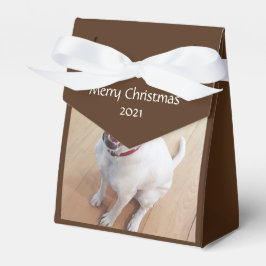 Sweet lächelnd White Rentier Dog Weihnachtsbraun Geschenkschachtel