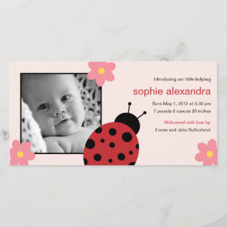 Sweet Ladybug Baby Girl Geburtserklärung Ankündigung