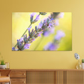 Sweet Lavendel Leinwanddruck (Insitu (Wohnzimmer))