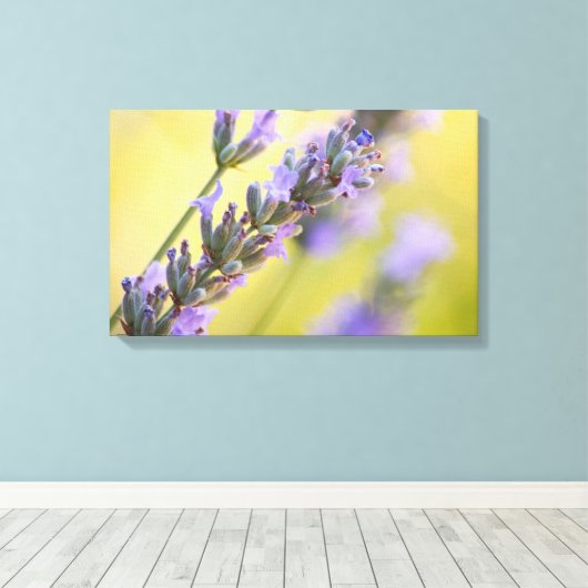 Sweet Lavendel Leinwanddruck (Insitu (Holzboden))