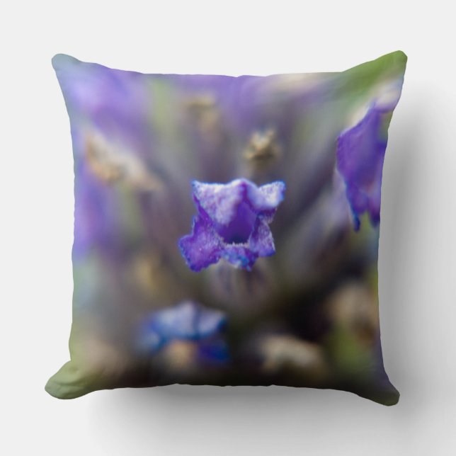 Sweet Lavender Kissen (Vorderseite)