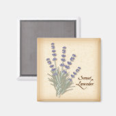 Sweet Lavender Magnet (Vorderseite/Rückseite)