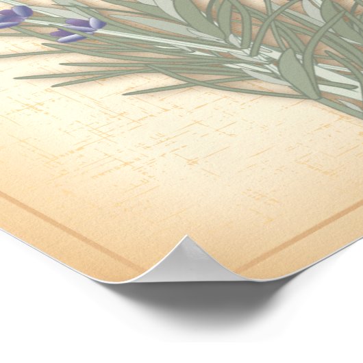 Sweet Lavender Poster (Ecke)