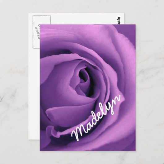 SWEET LILA DREAMS Rose Version 023A Postkarte (Vorne/Hinten)