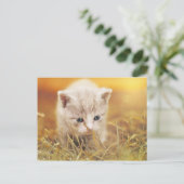 Sweet Little Cat Postkarte (Stehend Vorderseite)