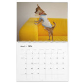 Sweet Little Chihuahua 2023 Kalender (Mär 2026)