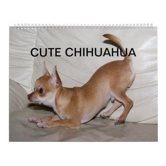 Sweet Little Chihuahua 2023 Kalender (Titelbild)