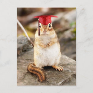 Sweet Little Chipmunk Graduate Ankündigungspostkarte