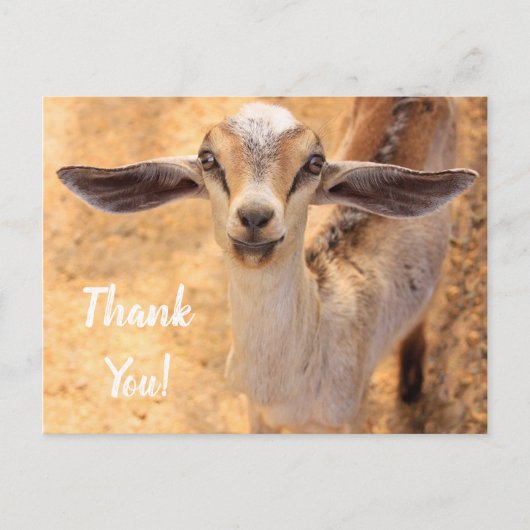 Sweet Little Goat Vielen Dank Postcard Postkarte (Vorderseite)