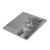 Sweet Little Kitten Fliese (Seite)