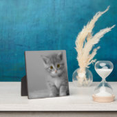 Sweet Little Kitten Fotoplatte (InSitu)