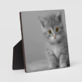 Sweet Little Kitten Fotoplatte (Vorderseite)