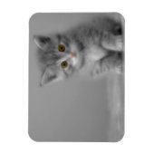 Sweet Little Kitten Magnet (Vertikal)