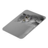 Sweet Little Kitten Magnet (Linke Seite)