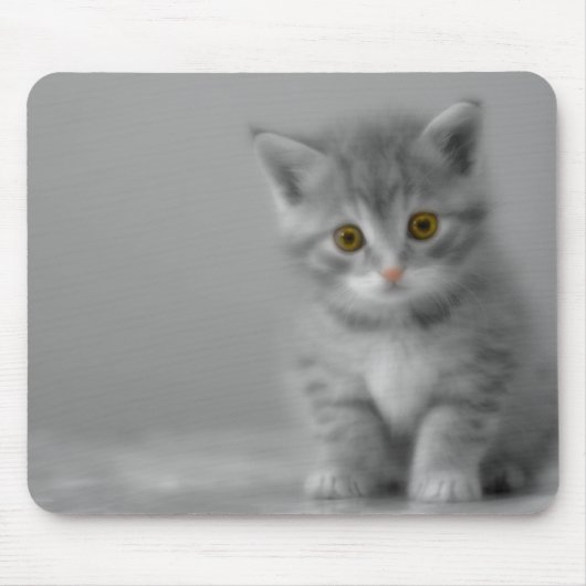 Sweet Little Kitten Mousepad (Vorne)