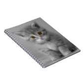 Sweet Little Kitten Notizblock (Rechte Seite)