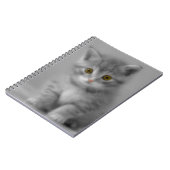 Sweet Little Kitten Notizblock (Linke Seite)
