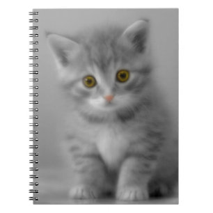 Sweet Little Kitten Notizblock